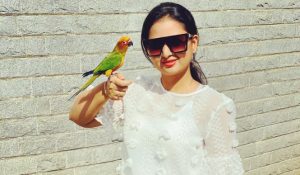 Amulya