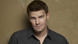 David Boreanaz