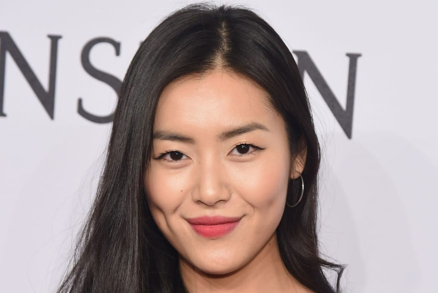 Liu Wen